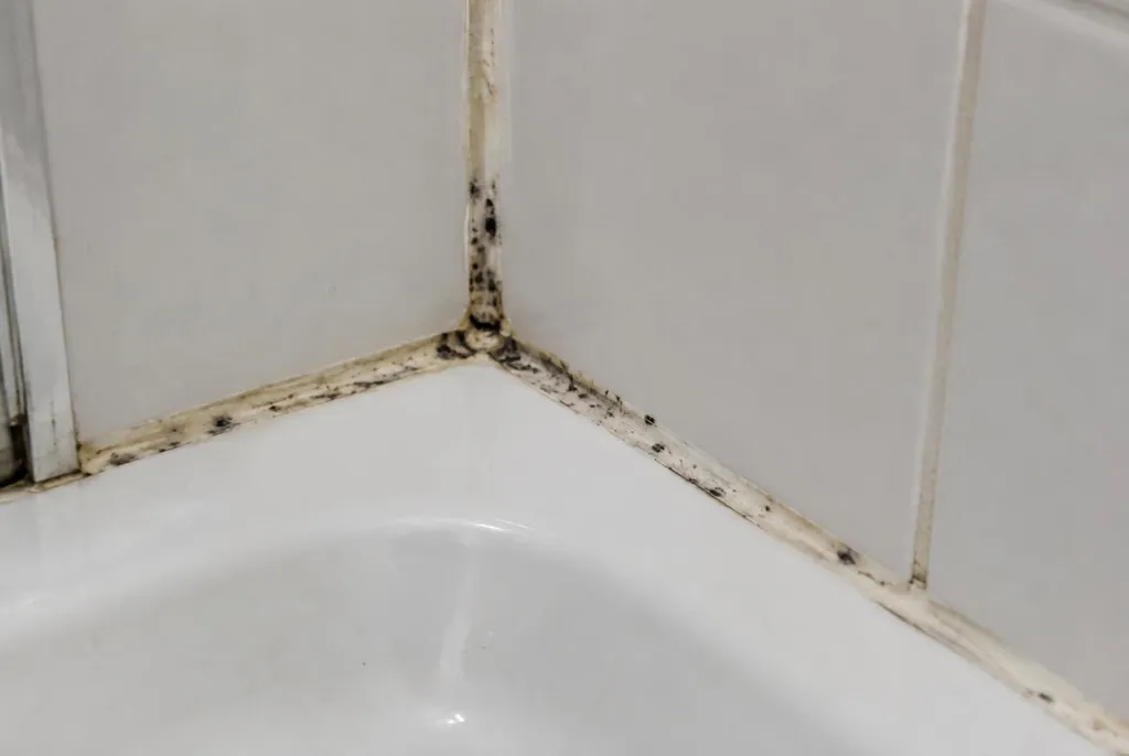 Kitbedrijf Voorthuizen – beschimmelde kitranden